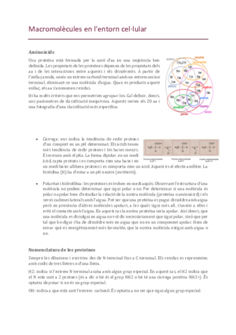 2-Estructura-primaria.pdf