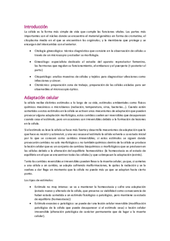 GineT1docx.pdf