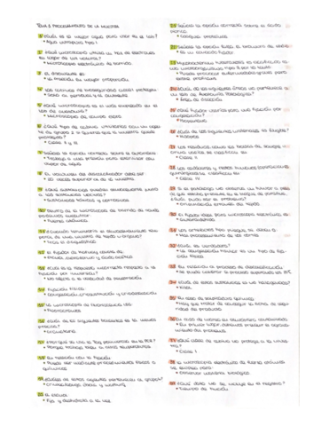 posibles-preguntas-PCT-T1.pdf