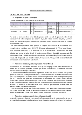 Treball-cicle-del-carboni-Quimica.pdf
