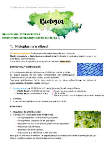 Biologia-2bach.pdf