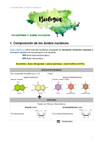 Biologia-2bach.pdf