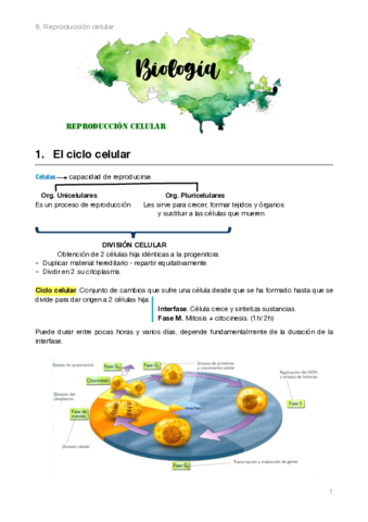Biologia-2bach.pdf