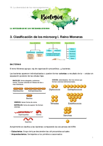 Biologia-2bach.pdf