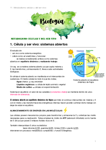 Biologia-2bach.pdf