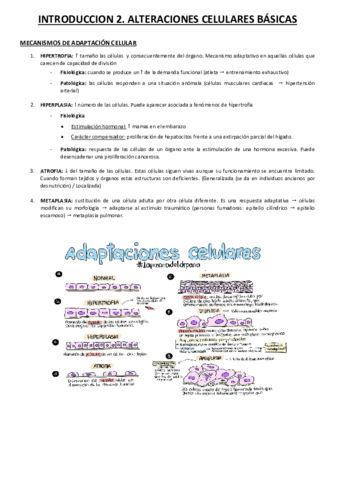 INTRODUCCION-2.pdf
