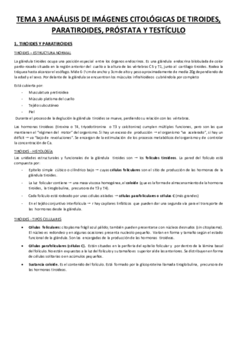 Tema-3-Tiroides-paratiroides-prostata-y-testiculo.pdf