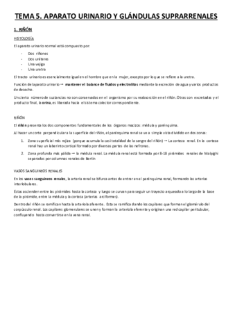 Aparato-urinario.pdf