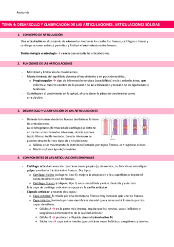 TEMA-4-Articulaciones-solidas.pdf