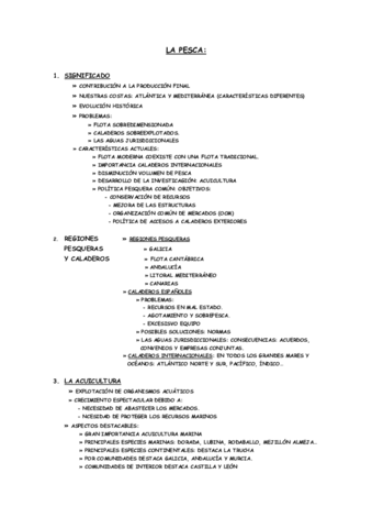 ESQUEMA-PESCA.pdf