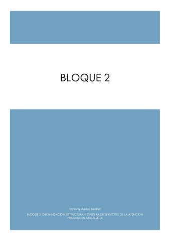 Bloque-2-Organizacion-estructura-y-cartera-de-servicios-APS-convertido.pdf