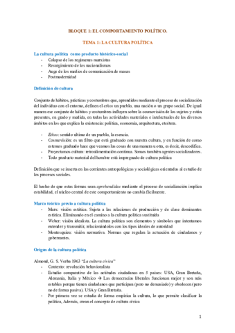 Tema-1-Cultura-Politica-.pdf