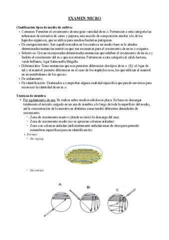 Examen-Micro.pdf