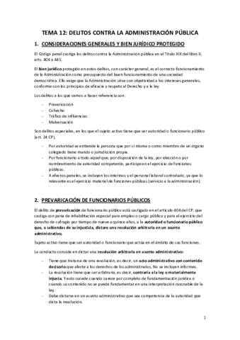 TEMA-12.pdf