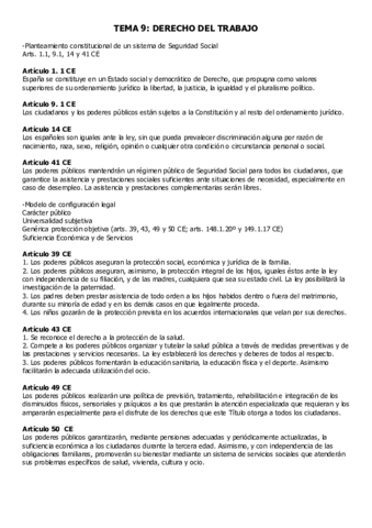 Tema 9 Derecho del Trabajo.pdf
