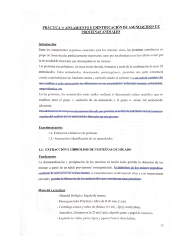guia-practicas-BQ-completa.pdf
