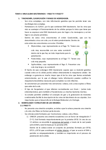 TEMA-4-viro.pdf