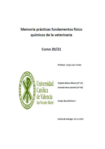 Memoria-2-FQVirginia-BlascoGonzalo-Roca.pdf