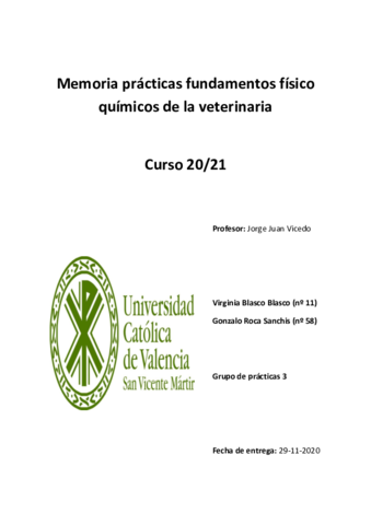 Memoria-1-FQVirginia-BlascoGonzalo-Roca.pdf