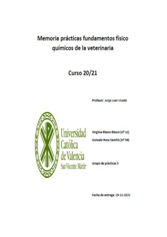 Memoria-3-FQVirginia-BlascoGonzalo-Roca.pdf