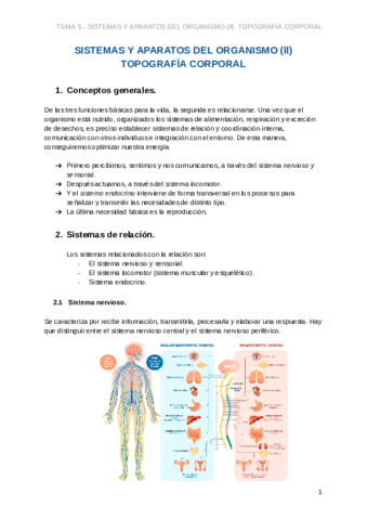 Apuntes-Fisiopatologia-T5-Documentos-de-Google.pdf