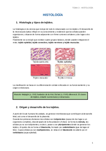 Apuntes-Fisiopatologia-T3-Documentos-de-Google.pdf