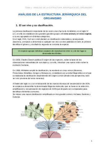 Apuntes-Fisiopatologia-T1-Documentos-de-Google.pdf