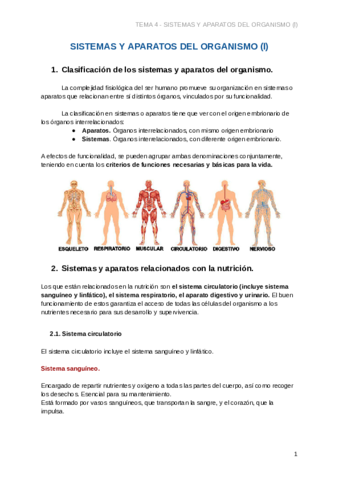 Apuntes-Fisiopatologia-T4-Documentos-de-Google.pdf