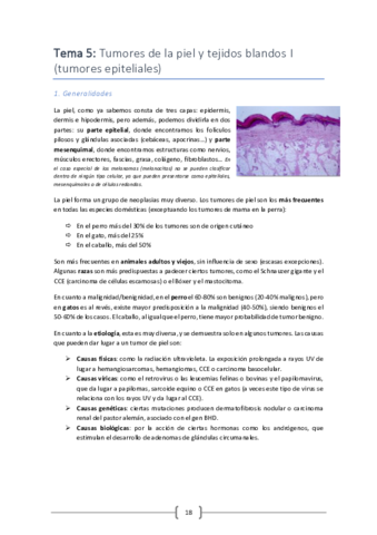 Tema-5.pdf