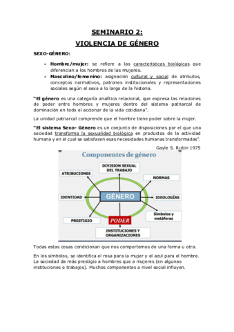 SEMINARIO-2-VIOLENCIA-DE-GENERO.pdf