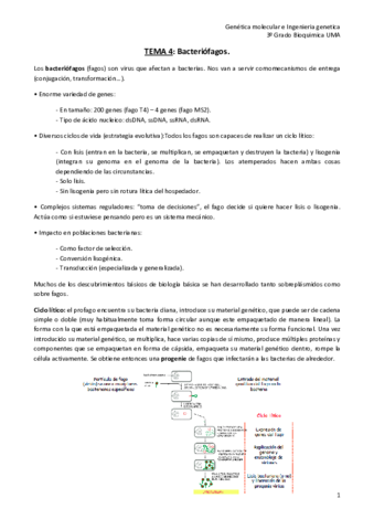 Tema-4-GMI-def.pdf