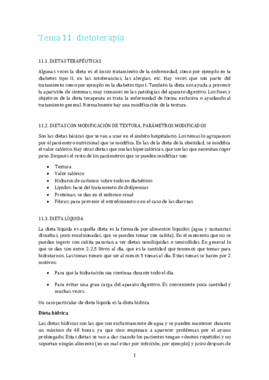 Tema 11 2º parcial.pdf