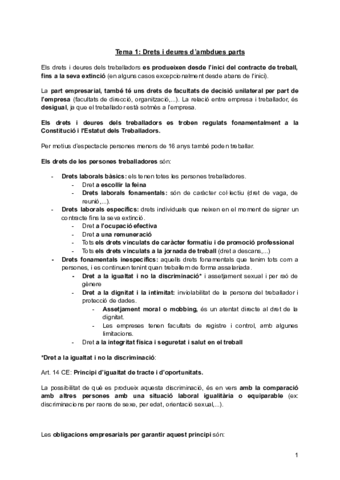 Apunts-dret-treball-II.pdf