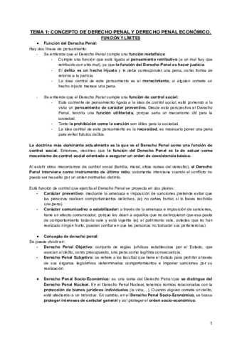 Apunts-meus-Dret-Penal-Socioeconomic.pdf