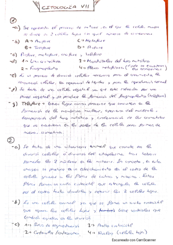 EJERCICIOS-CITOLOGIA-VII.pdf