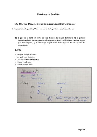 EJERCICIOS-GENETICA.pdf