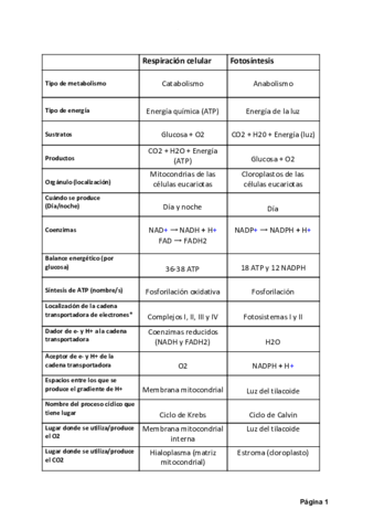 Diferencias-entre-Respiracion-Celular-y-Fotosintesis.pdf