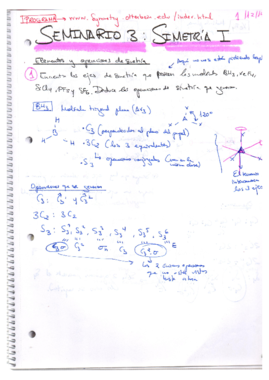 SEMINARIO 3 RESUELTO_SIMETRÍA I.pdf