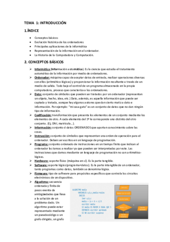 Tema-1-Informatica.pdf