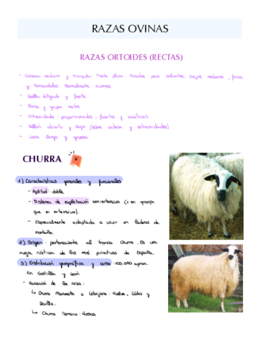 Razas-ovinas-caprinas-y-porcinas.pdf