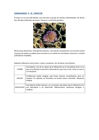 Seminario-3.pdf