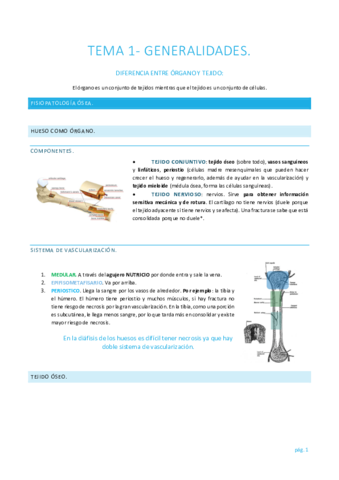 Afecciones-MQ-I.pdf