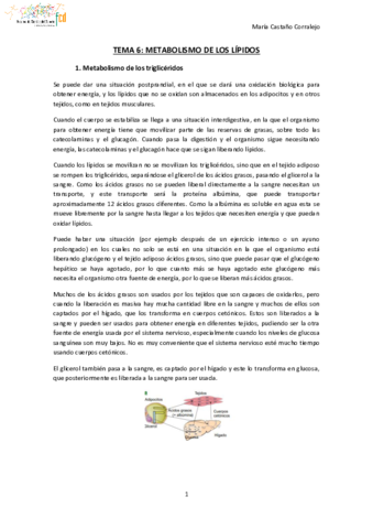 TEMA-6-NUTRICION-Y-DEPORTE.pdf