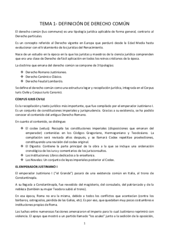 Apuntes-completos-derecho-comun.pdf