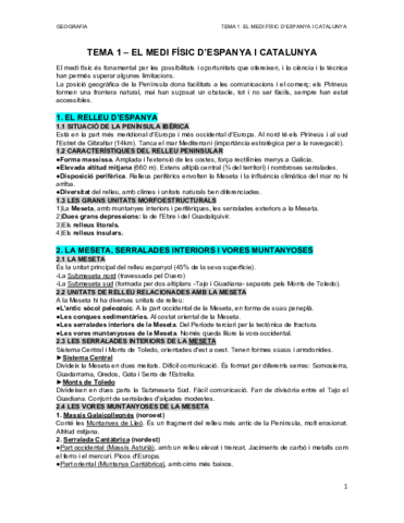 Tema-1.pdf