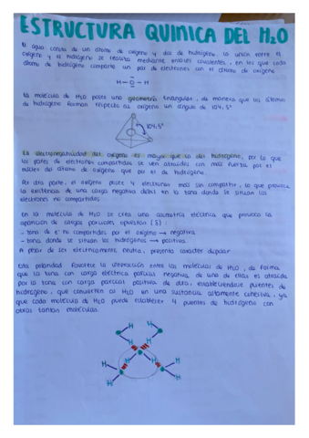 Apuntes-bioquimica-.pdf
