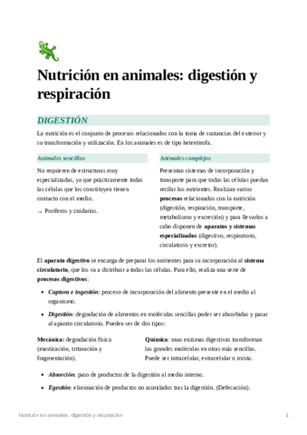 Nutricion-en-animales-digestion-y-respiracin.pdf