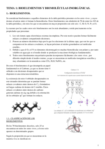 Bioelementos-agua-y-sales-minerales.pdf