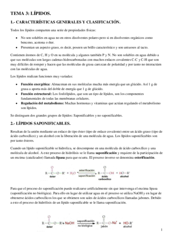 Lipidos.pdf
