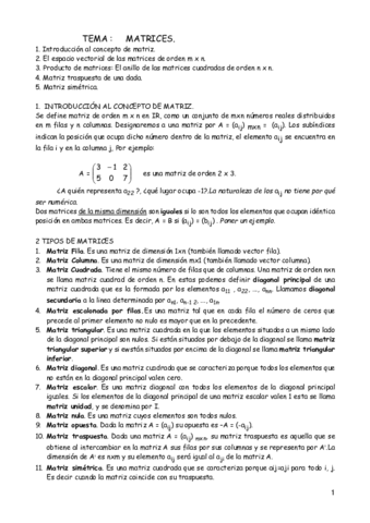 TEMA-MATRICES.pdf